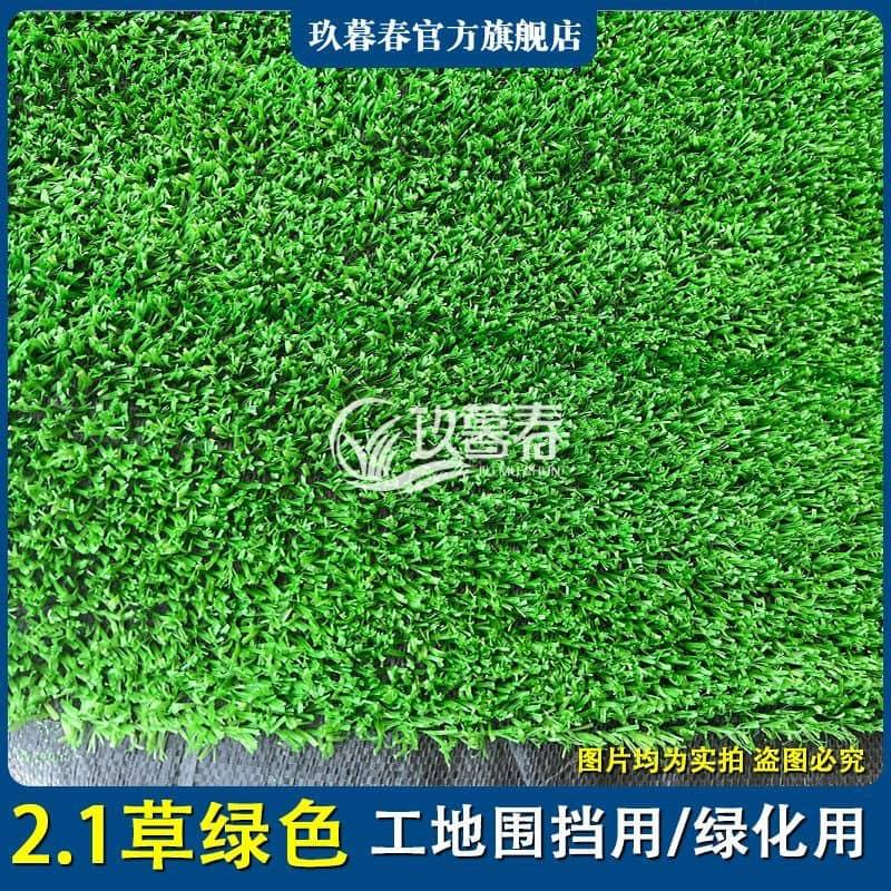 pelouse artificielle ( tapis )