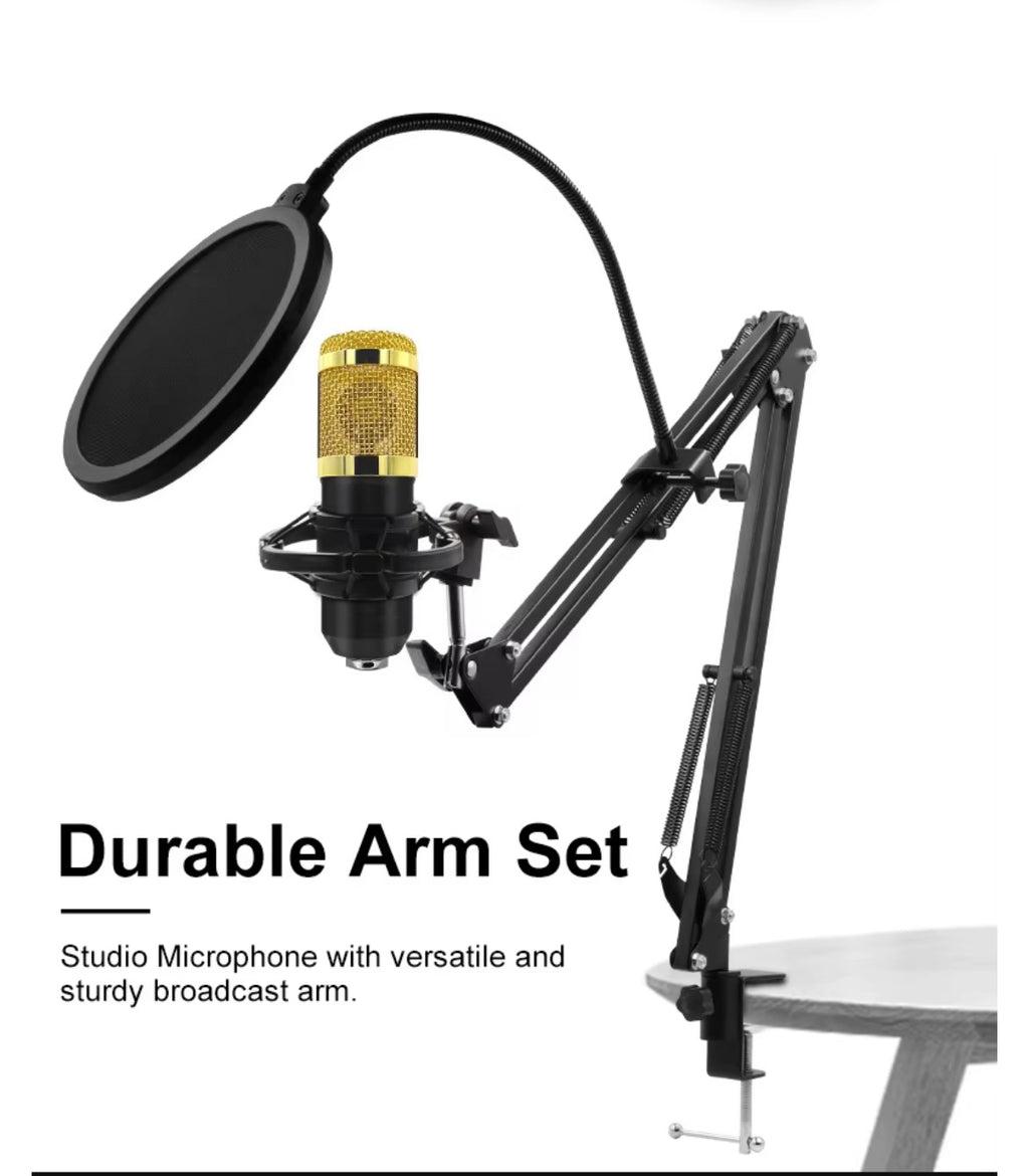 Microphone