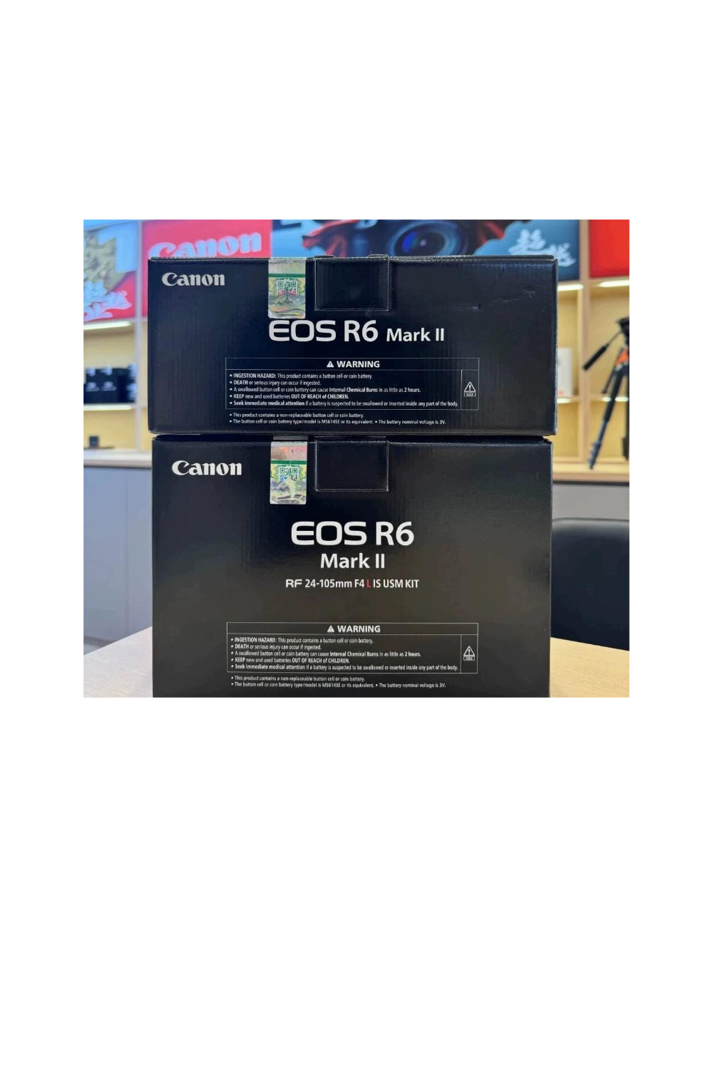 Canon EOS R6 Mark II + RF 24-105mm F4 L IS USM (85 % Neuf)