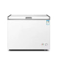 Congélateur domestique 228L