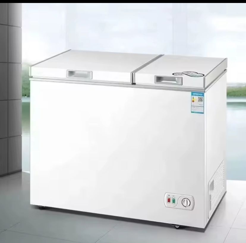 Congélateur Double Température 302L