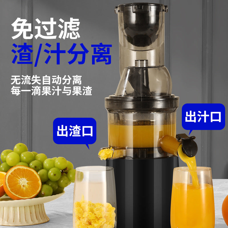 Extracteur de Jus Multifonction – Pression Douce & Silencieuse